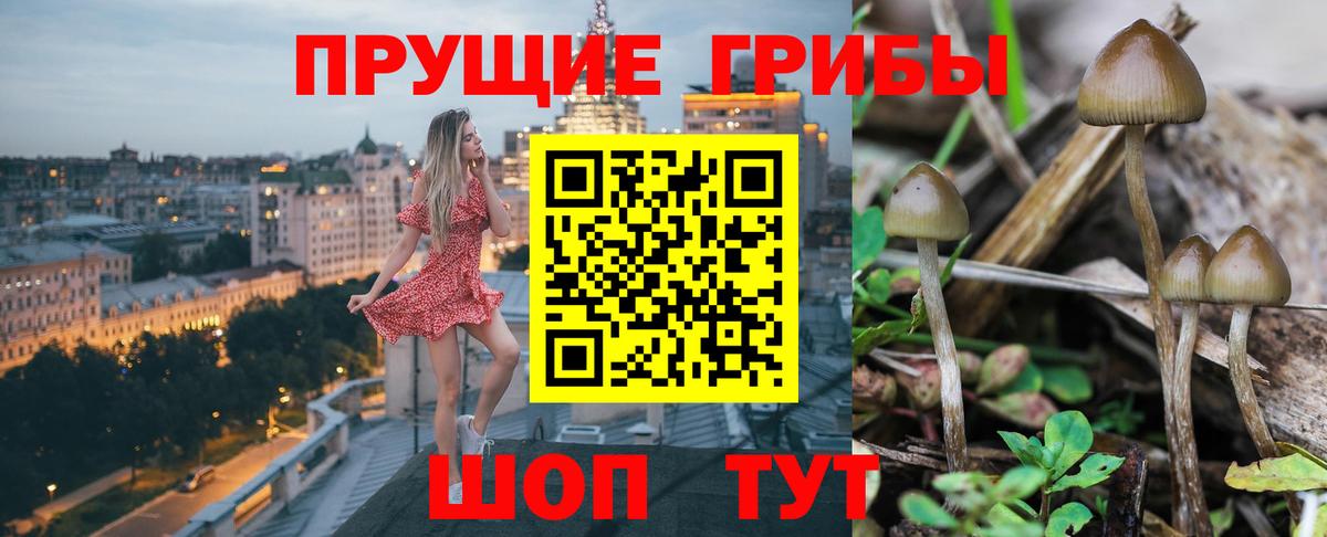 Галлюциногенные грибы ЛСД  Галлюциногенные грибы MAGIC MUSHROOMS  Вологда  Вход с VPN 